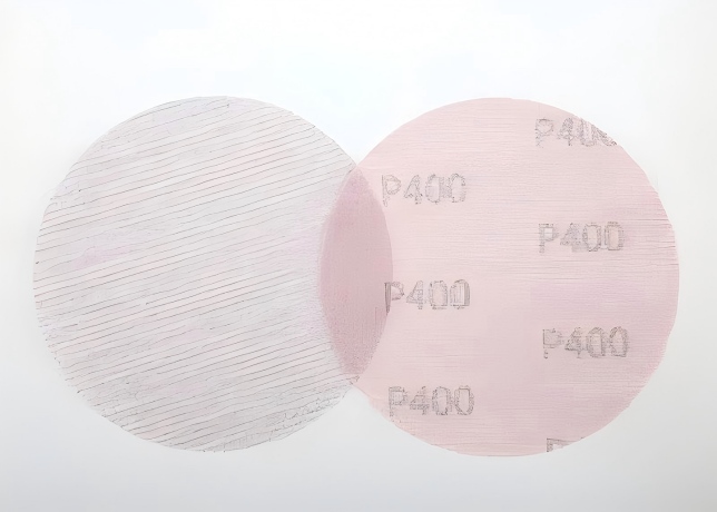 /uploads/image/2026/08/03/optimizing-your-workflow-with-specialized-net-sanding-discs.jpg optimizing-your-workflow-with-specialized-net-sanding-discs.jpg